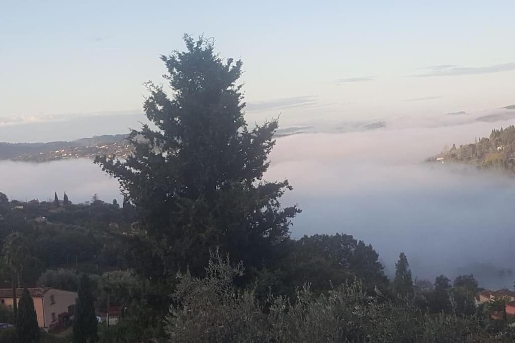 De 1 A 6 Avec Terrasse Solarium, Vue Panoramique Et Parking Gratuit Leilighet Grasse Eksteriør bilde