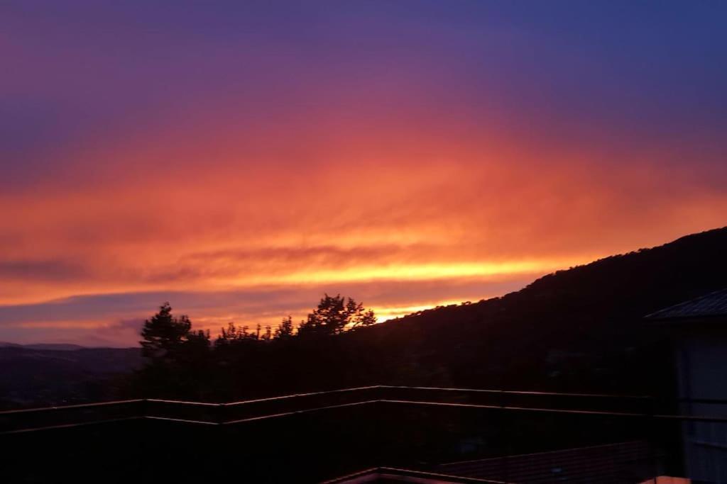 De 1 A 6 Avec Terrasse Solarium, Vue Panoramique Et Parking Gratuit Leilighet Grasse Eksteriør bilde